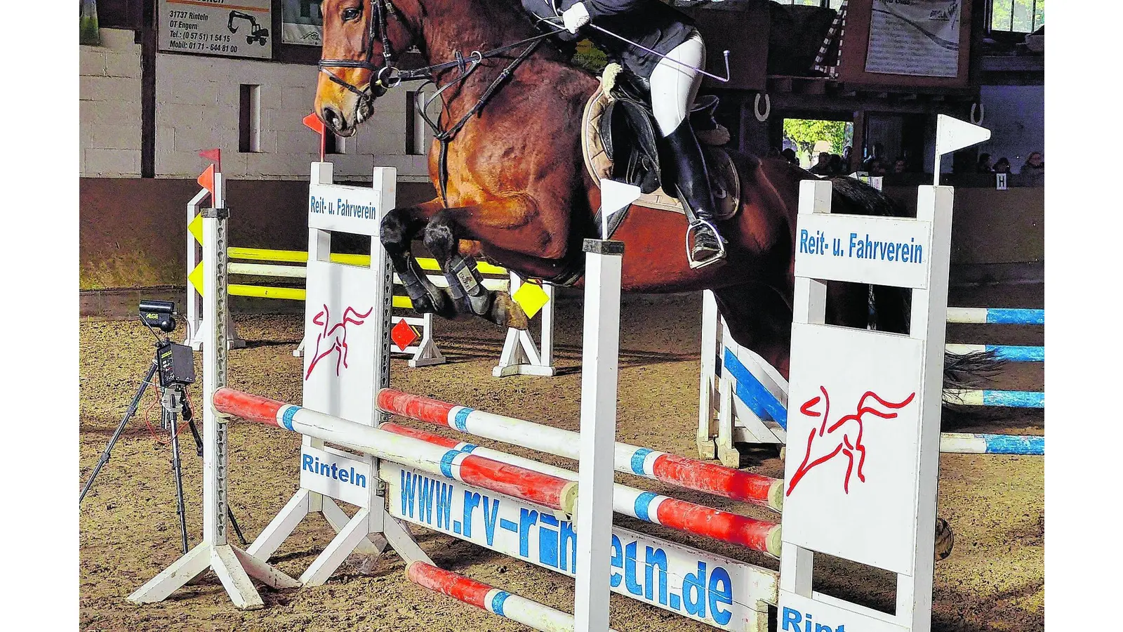 Nach langer Durststrecke endlich wieder Pferdesport (Foto: ste)