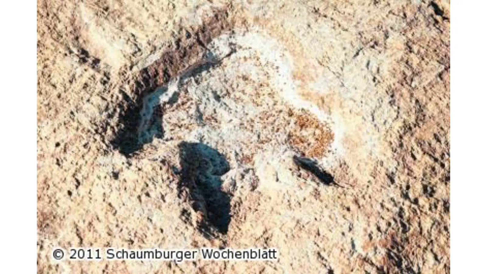 Wo einst Dinos stapften (Foto: wa)