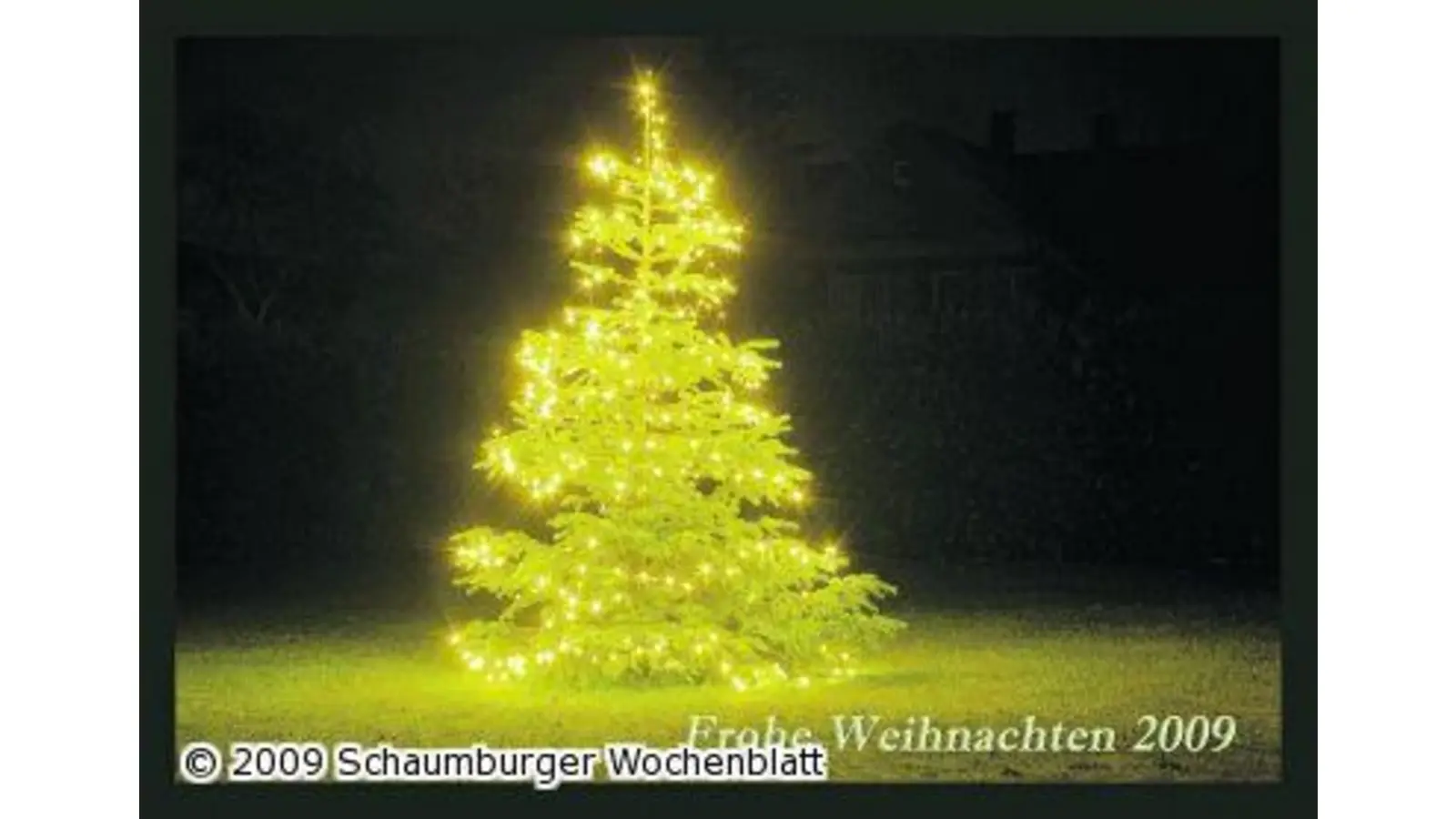 Er sieht echt gut aus (Foto: ih)