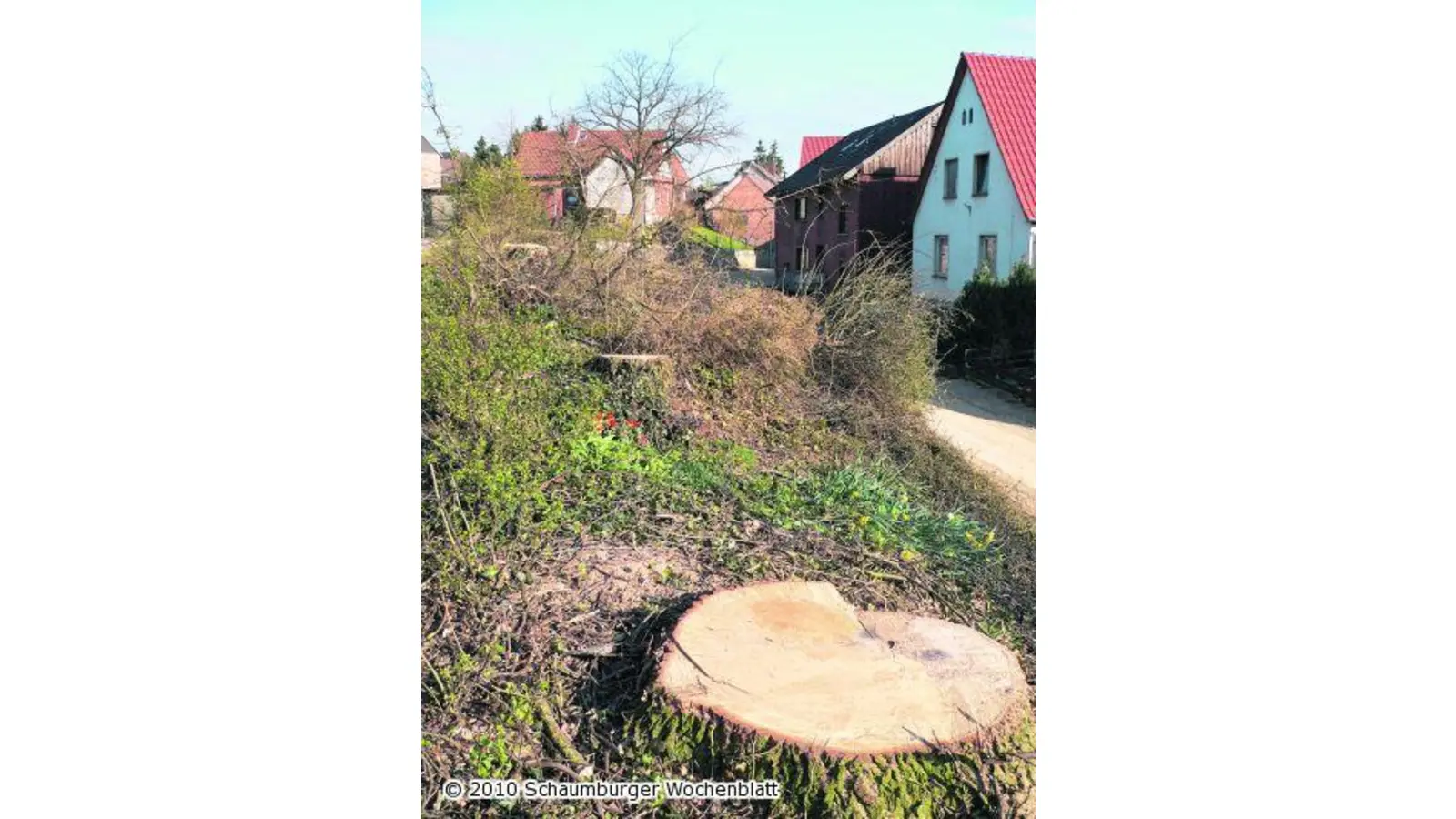 Straße ohne Bäume (Foto: al)