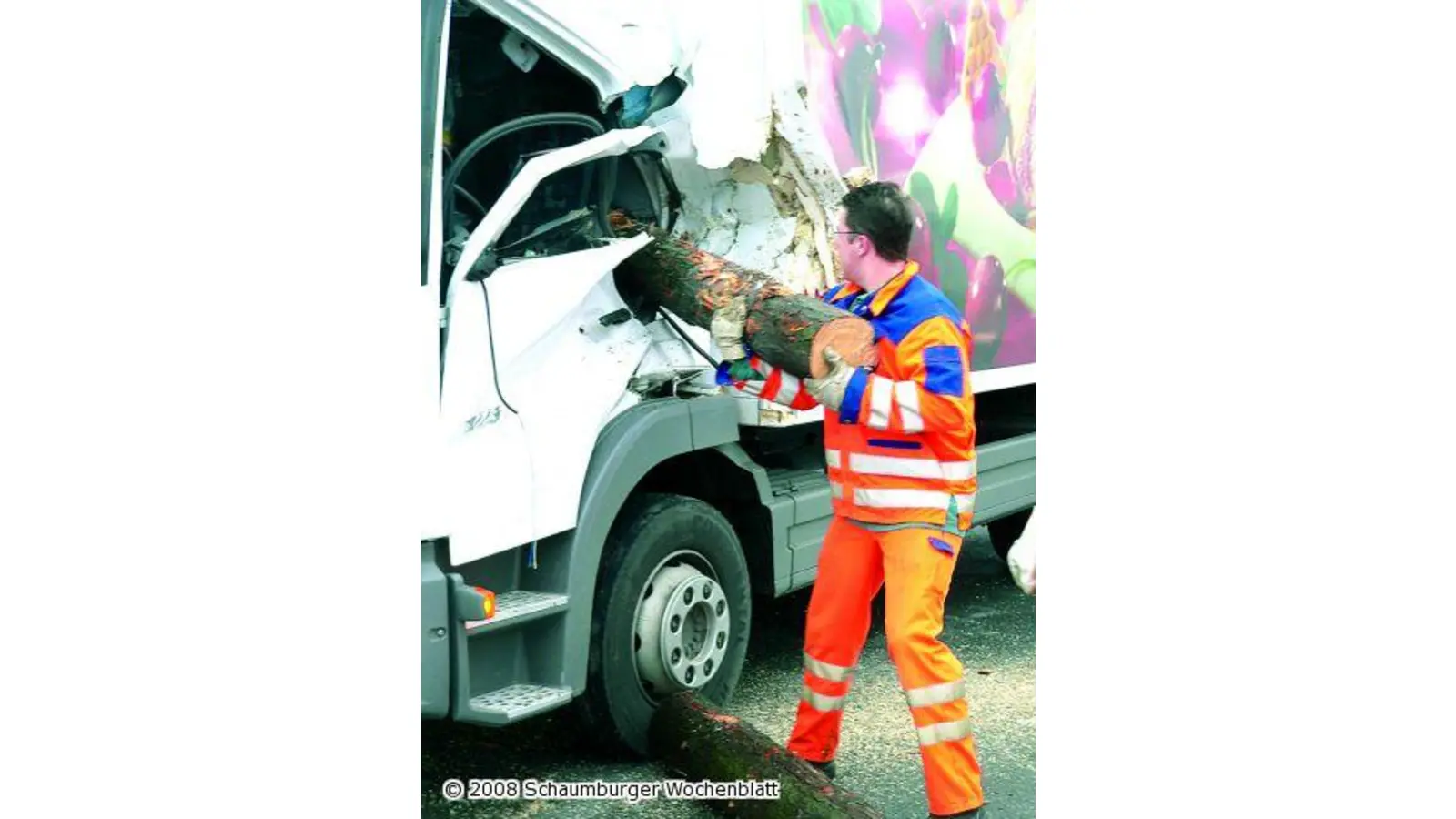 Nur knapp verfehlt ein Baumstamm den Kopf eines Autofahrers (Foto: al)