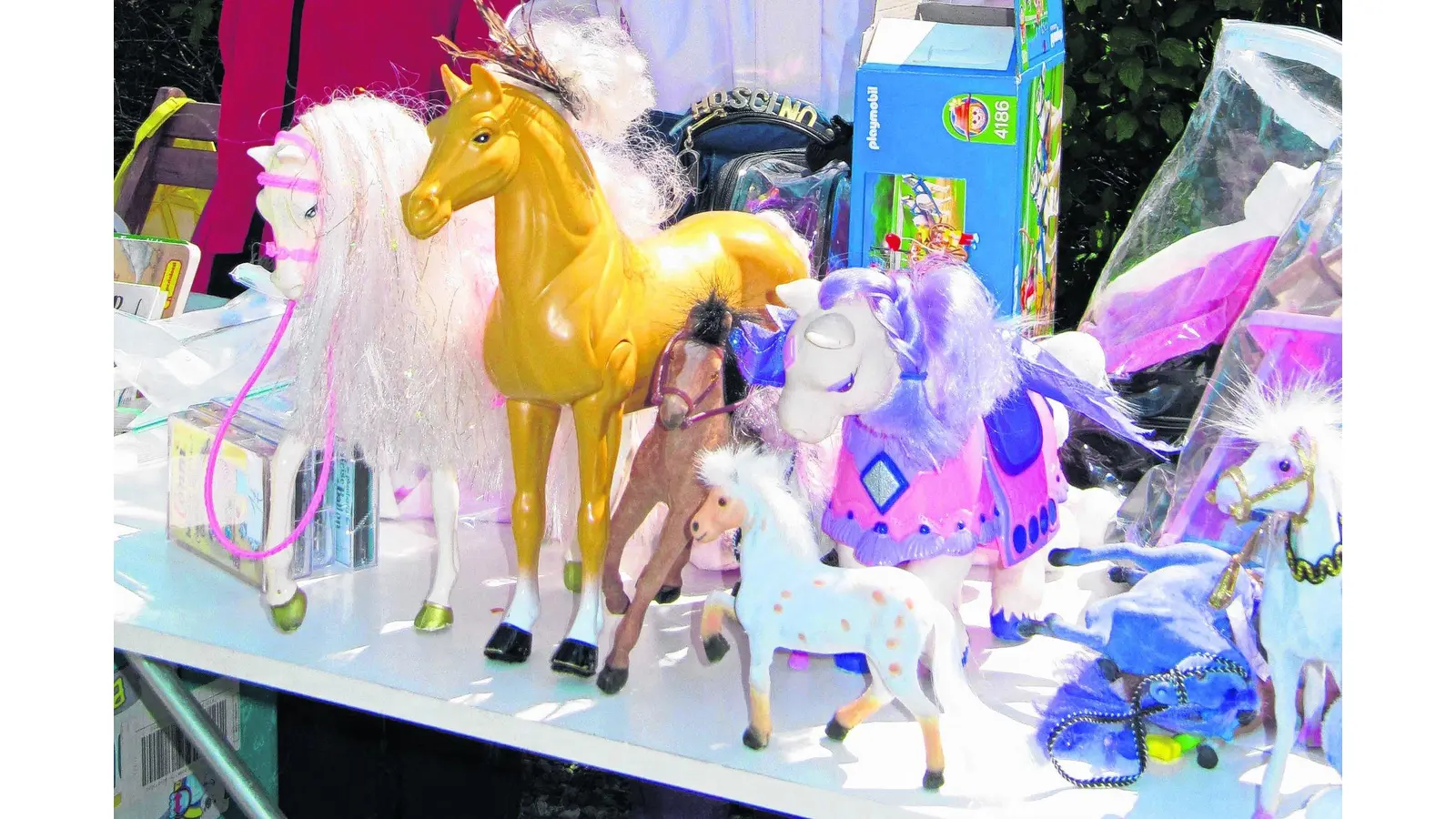 Mit Rowoki das Taschengeld aufbessern oder Pilot werden (Foto: jl)