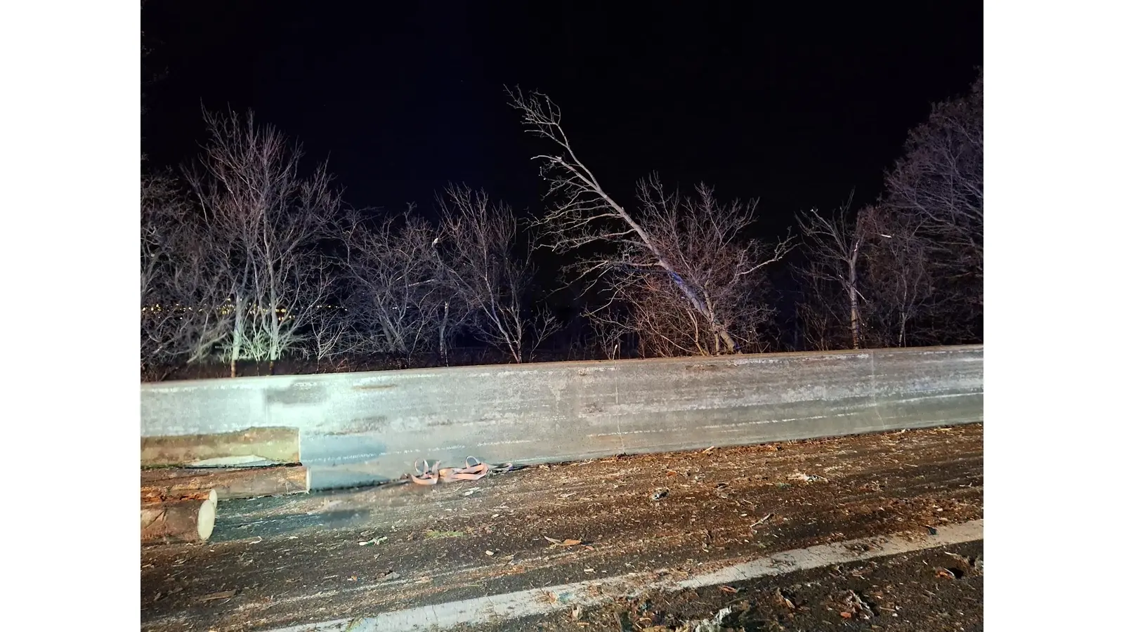 Über die Betonschutzwand der A2 flog die Ladung in andere Bäume. (Foto: red)