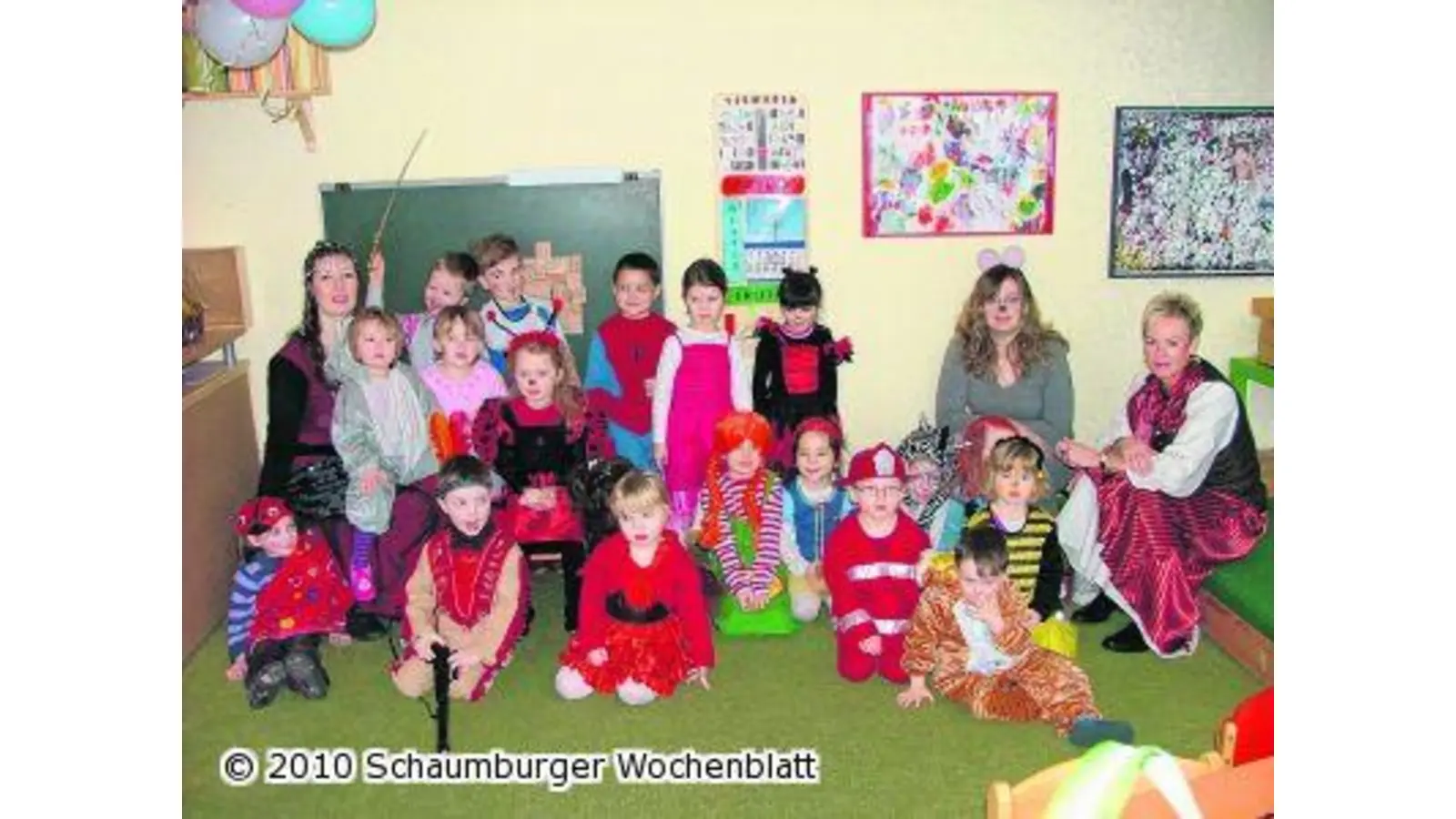 Marienkäfer schon im Februar (Foto: mk)