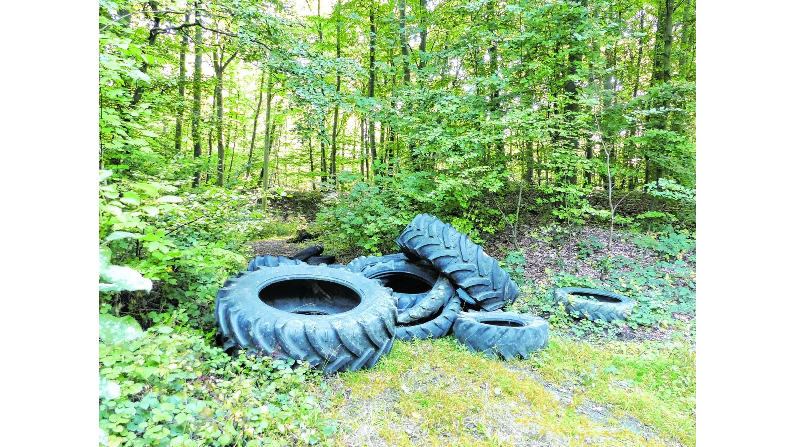 Ladung Reifen liegt im Wald (Foto: al)