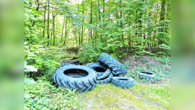 Ladung Reifen liegt im Wald (Foto: al)