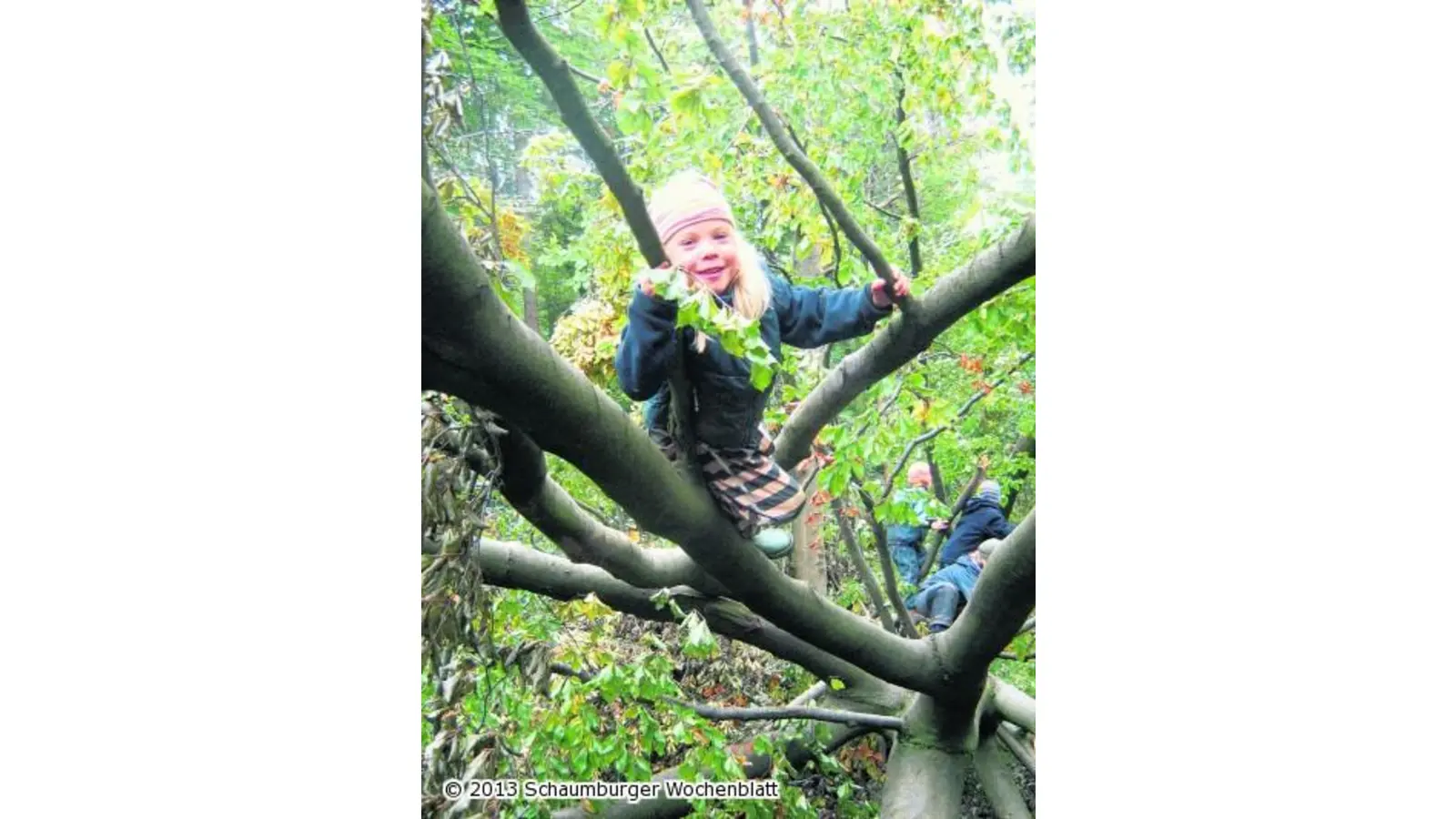 Freie Plätze für Naturforscher (Foto: al)