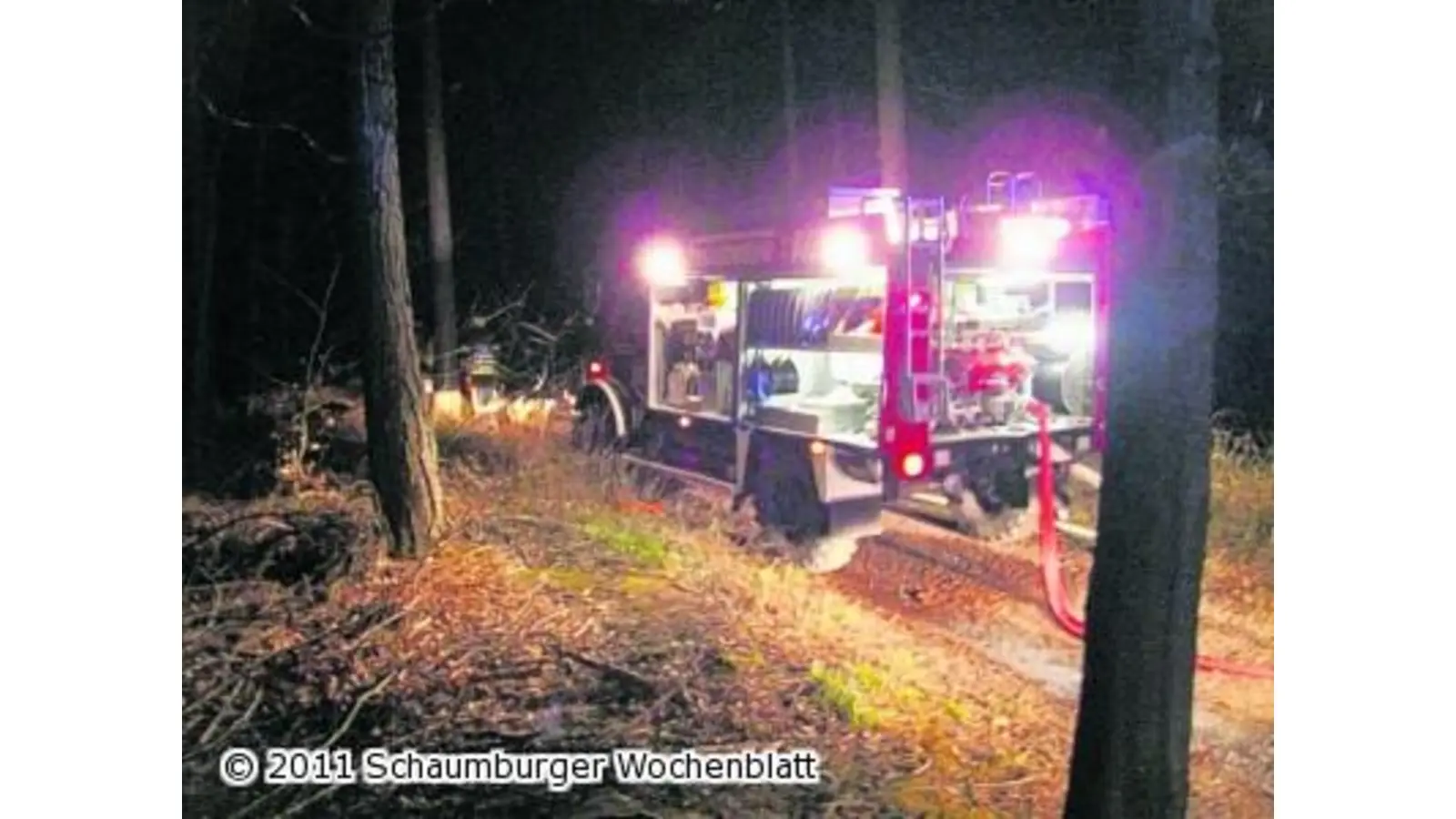 Waldbrand im Harrl (Foto: red)
