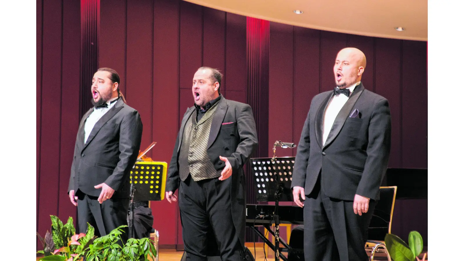 Ein bunter Strauß klassischer Musik verwöhnt die Seele und die Ohren (Foto: red)