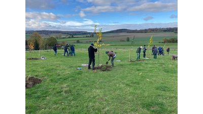 Die Wiese, auf der diverse Obstbäume und Sträucher gepflanzt wurden, befindet sich in Privatbesitz und wurde für die Aktion zur Verfügung gestellt.  (Foto: privat)