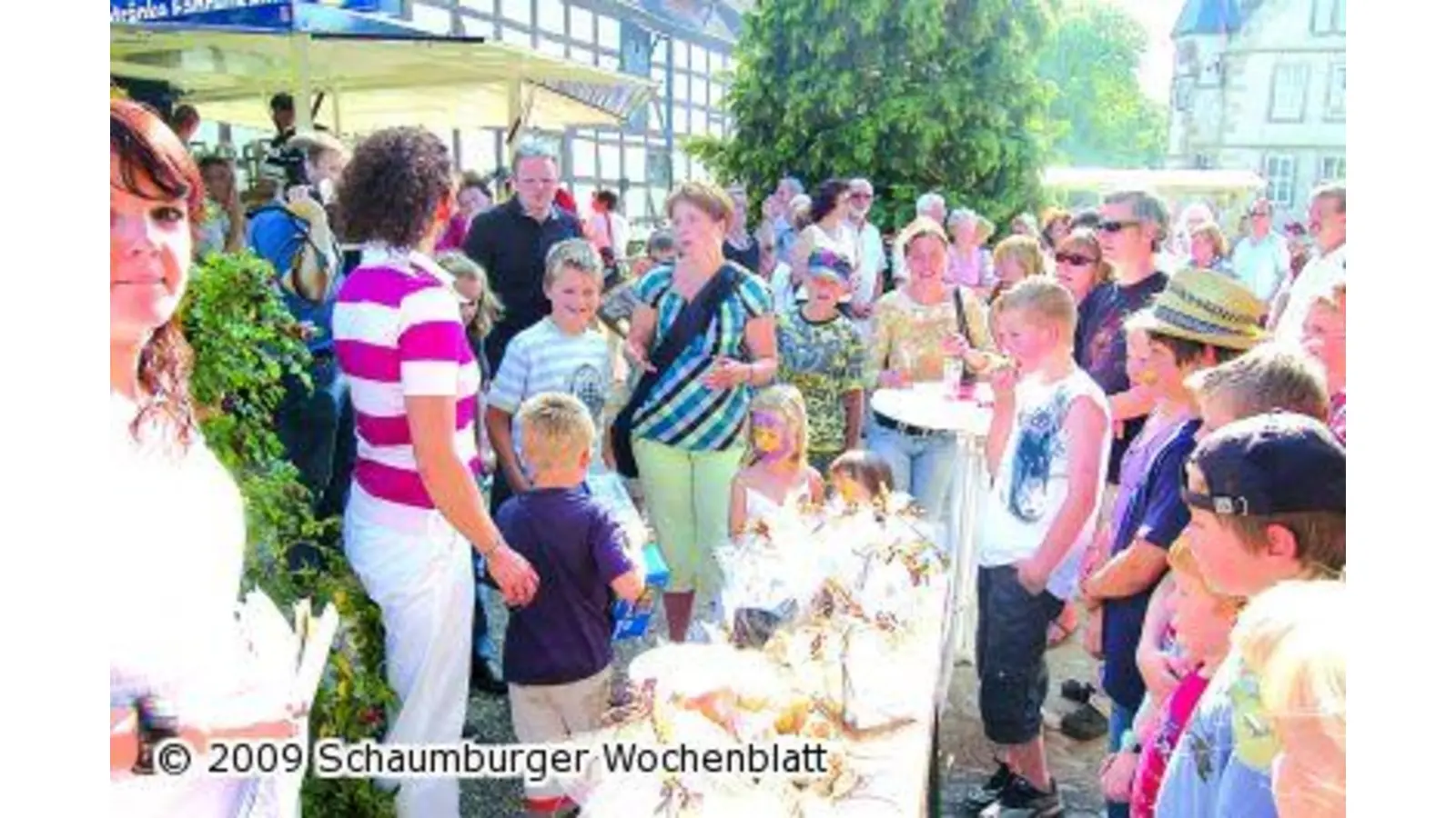 Sommerfest erfüllt alle Erwartungen (Foto: pd)