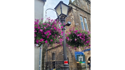 Die Hanging Baskets verschönern die Innenstadt Bückeburg mit vielen bunten Blüten über den gesamten Sommer hinweg. (Foto: privat)