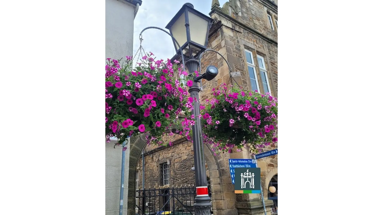 Die Hanging Baskets verschönern die Innenstadt Bückeburg mit vielen bunten Blüten über den gesamten Sommer hinweg. (Foto: privat)