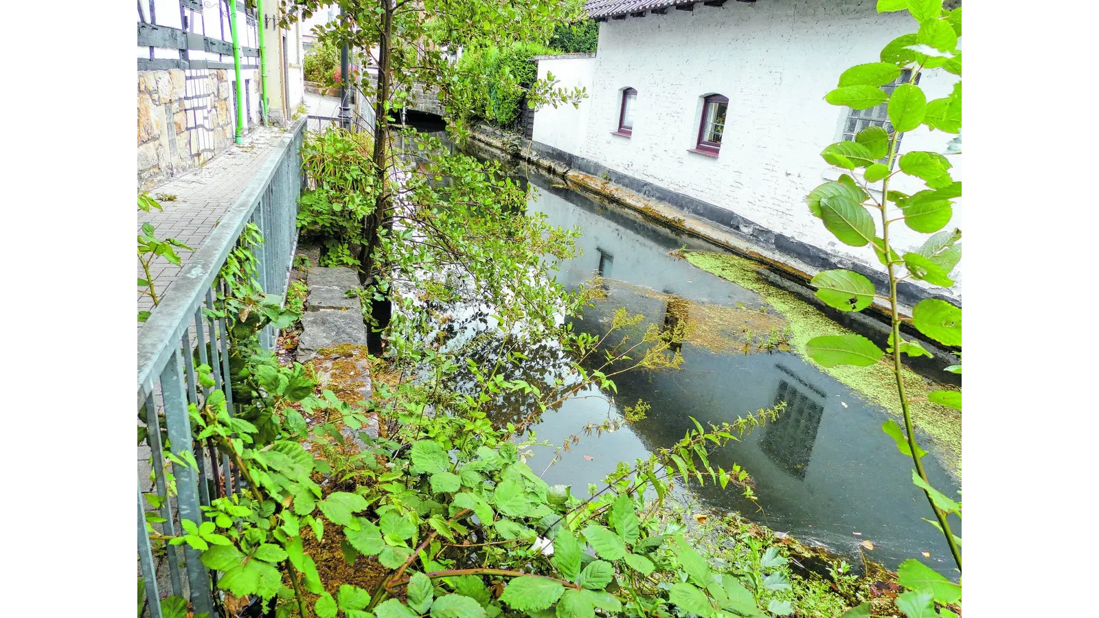Eine neue Mauer für die Mühlenaue (Foto: al)