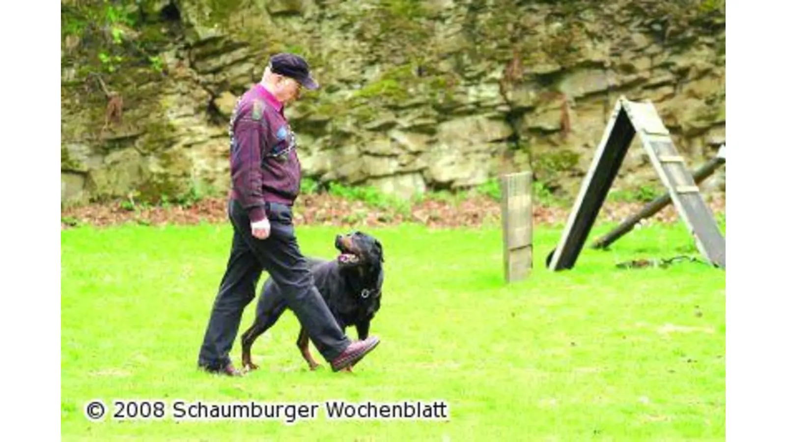 Vierbeiner treten zur Kreisauslese an (Foto: red)